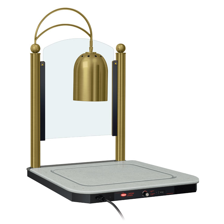 Hatco DCSB2-2420-1 Small Rectangular Carving Station Lamp