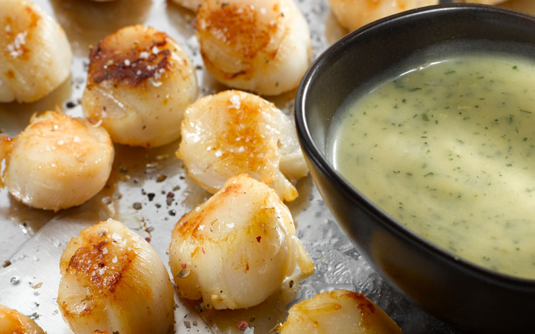 Scallops with Hollandaise Sauce