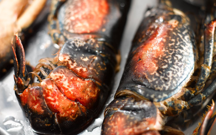 Flamed Lobsters